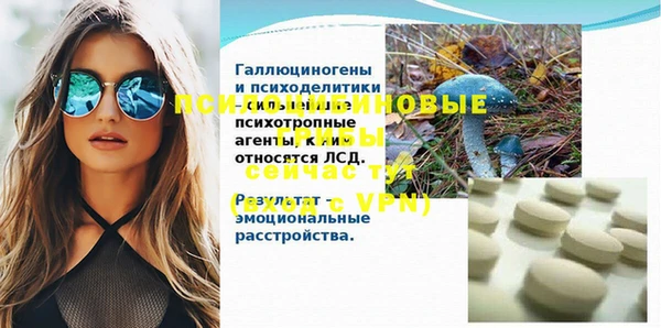 прущие крисы Белокуриха