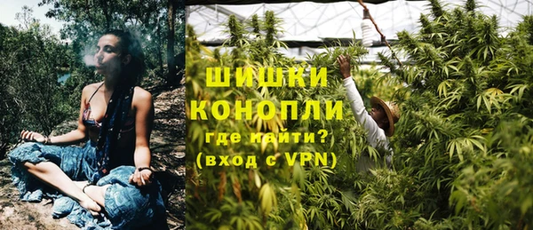 прущие крисы Белокуриха