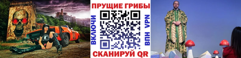 Псилоцибиновые грибы Psilocybine cubensis Сертолово